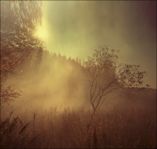  / *******