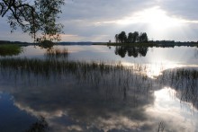 ein bisschen Sommer / ********