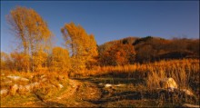 Herbststimmung / ------------