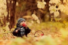 Äpfel) / *****