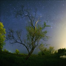 Wandern für die Abfüllung. / ***