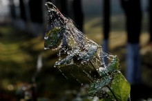 Filamente in Kristall regen / ********