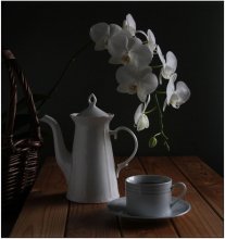 Abend-Tee / ***