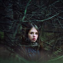 labyrinth. / Julia