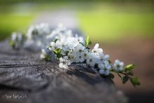 Und der Winter fängt gerade erst an ... / ...