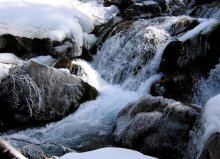 Non-Gefrieren von Wasser / ***