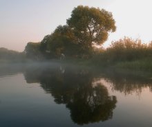 In der nebligen Reflexion / ___________________________*