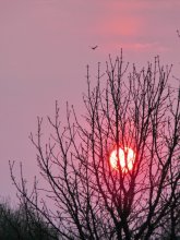 Utro.Na treffen die Sonne. / ***