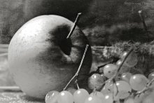 Apfel / ***