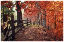 Herbst ... / ***