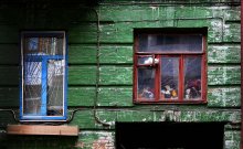 Katze im Fenster / ***