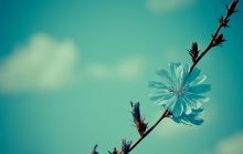 Azurblau / ***