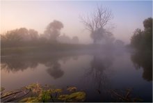 In der Stille der Morgendämmerung / ***