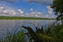 Erinnerung an den Sommer / ***