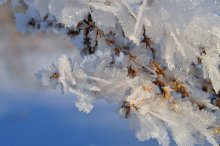 Eine zerbrechliche Silver Frost ... / ***