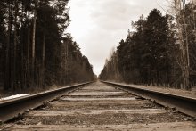 The Road to Nowhere / ***