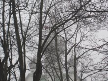 Nebel / ***