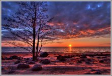 Sanfte Abschied vom Meer / ***