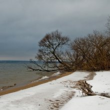 Winter Beach / ***