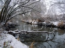 Märchen von den Winterwald / ***