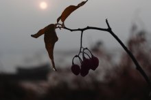 Ohne Titel / *******