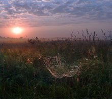 Semkov Meadow / ***