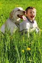 Freunde / ***