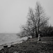 unerwarteten Gast ... / ***