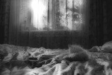 Ästhetik und Komfort wie eine Katze ruht ... / *****
