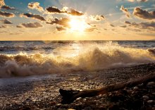 Evening Strand / ***