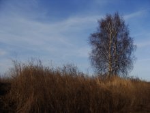 Birch ist ein unbebautes Grundstück. / ***