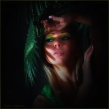 Tropicana / ***