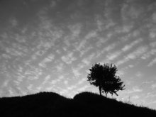 Alleine ... / *****