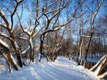 Frosty Yauza ... / ***