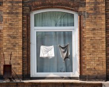 Die Fenster der Sommer / ***