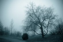 windigen Dame / _____________