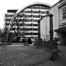 Ohne Titel / ***