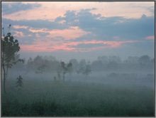 Morgen Nebel / ***