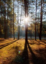 Herbst / ********