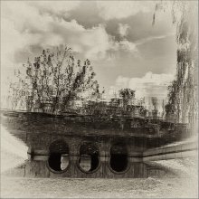 . Ltd / ***