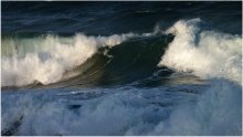 WAVE / **************