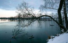 In der Gefangenschaft das Eis / ___________________*