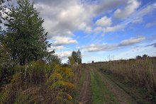 "Der Himmel hauchte Herbst ..." / ***