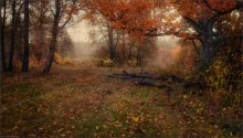 Herbststimmung / ***