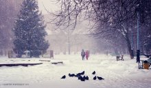 In der Stadt Dubna Blizzard. / ***