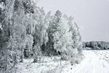 Unter der Schneedecke / .....