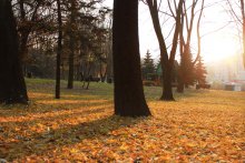 Sonnigen Herbst / ...