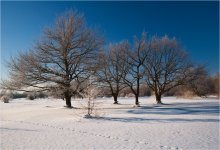 Winter / ***