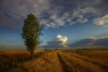 Straße zum Himmel / ***