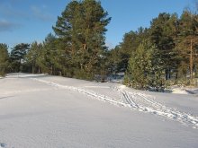Eines Tages im Winter ... / *****